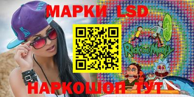 крисы Камышлов