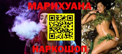 крисы Камышлов