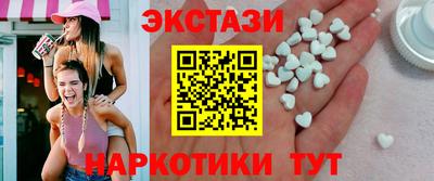 крисы Камышлов