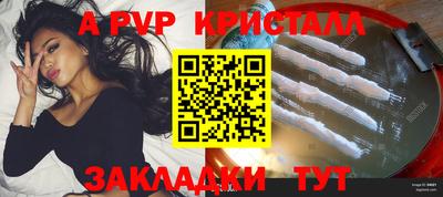 крисы Камышлов