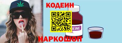 крисы Камышлов