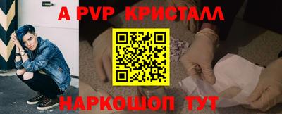 крисы Камышлов