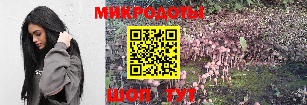 Псилоцибиновые грибы MAGIC MUSHROOMS Курчалой