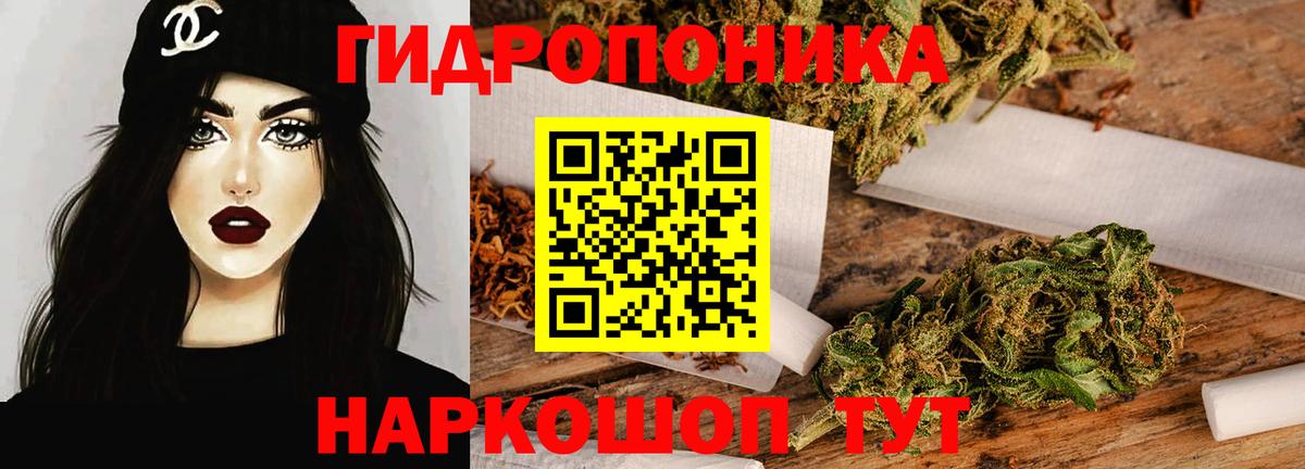 Шишки марихуана индика  Вход с VPN  Курчалой  Бошки марихуана White Widow  Шишки марихуана марихуана 